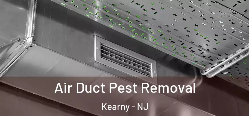 Air Duct Pest Removal Kearny - NJ