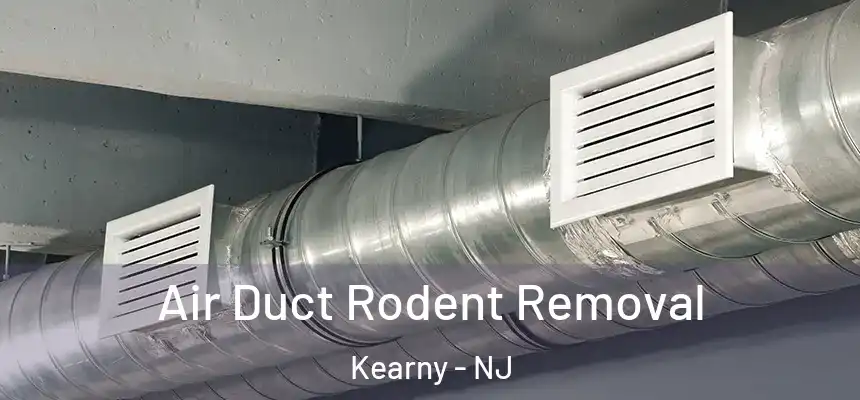 Air Duct Rodent Removal Kearny - NJ