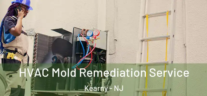 HVAC Mold Remediation Service Kearny - NJ