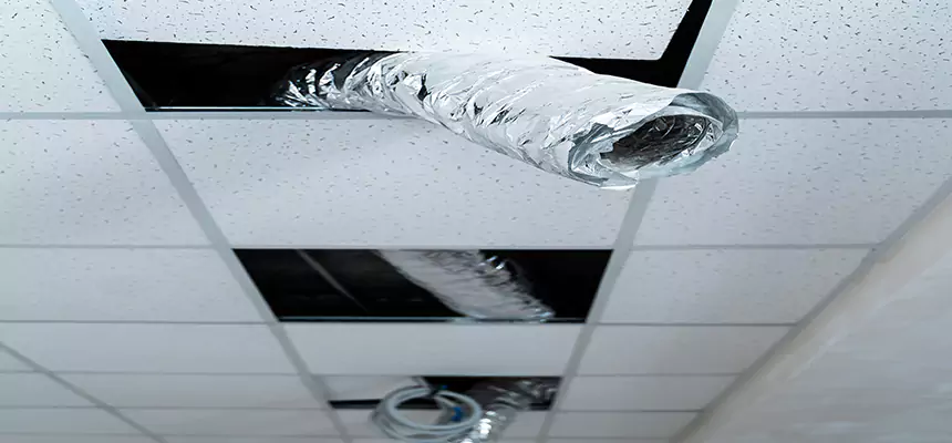 Our Air Duct Pet Hair Removal Services in Kearny, NJ