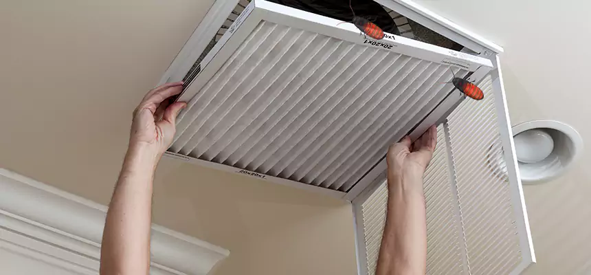 Our Insect Removal from Air Ducts Services in Kearny, NJ