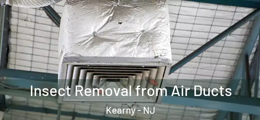 Insect Removal from Air Ducts Kearny - NJ