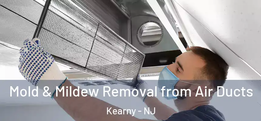 Mold & Mildew Removal from Air Ducts Kearny - NJ