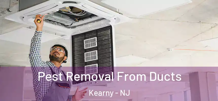  Pest Removal From Ducts Kearny - NJ