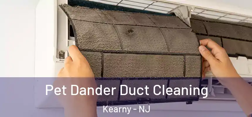 Pet Dander Duct Cleaning Kearny - NJ