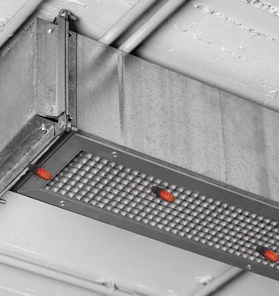 Affordable Insect Removal from Air Ducts in Kearny, NJ