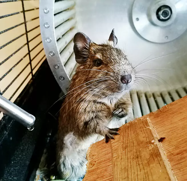 Why Homeowners & Businesses Trust Us Kearny, NJ