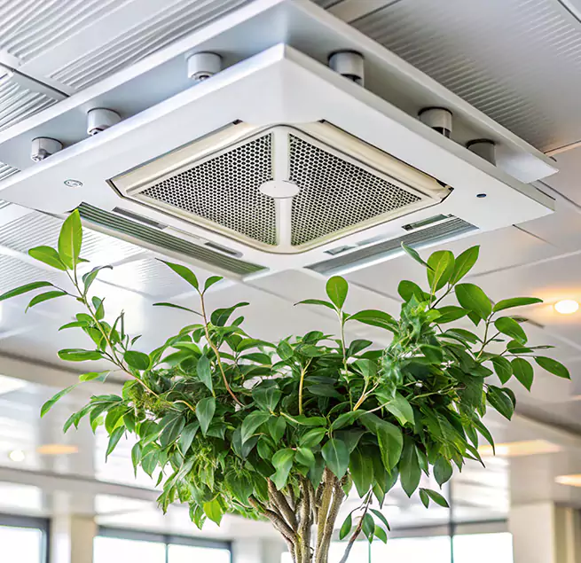 Why Homeowners & Businesses Trust Us in Kearny, NJ?